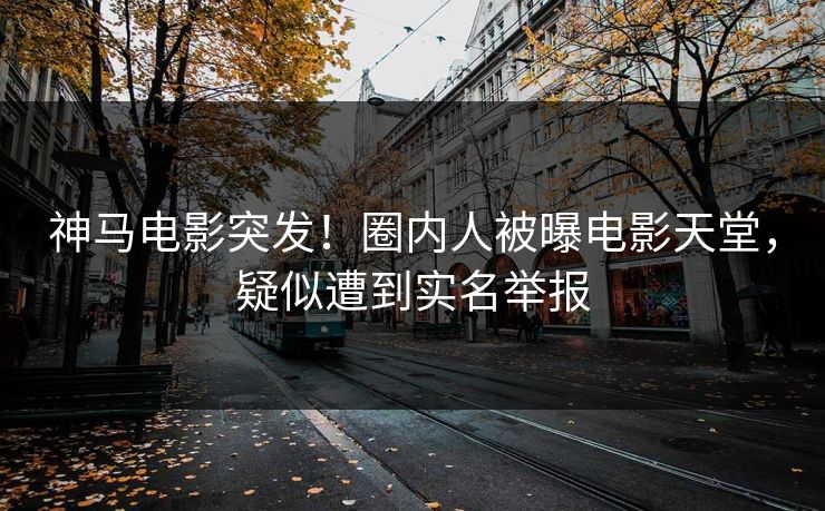 神马电影突发！圈内人被曝电影天堂，疑似遭到实名举报