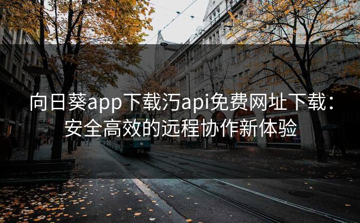 向日葵app下载汅api免费网址下载：安全高效的远程协作新体验